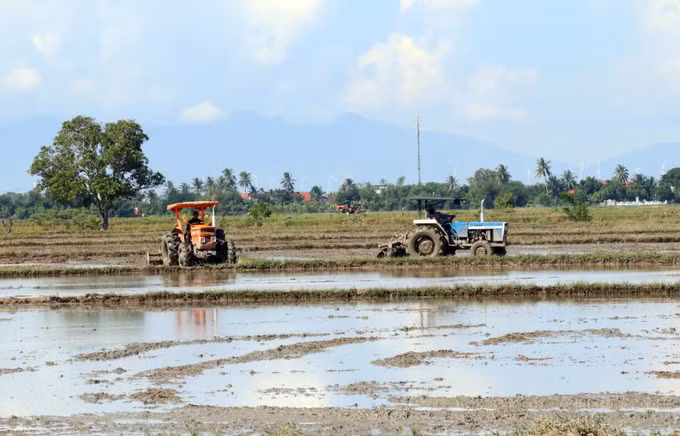 Xây dựng nông thôn mới kiểu mẫu ở vùng đồng bào Chăm - Điểm sáng từ ý Đảng, lòng dân ảnh 3