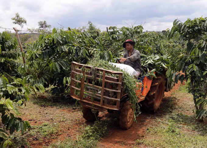 Đắk Nông tạo thuận lợi để người dân vay vốn xóa đói giảm nghèo, xây dựng nông thôn mới ảnh 1