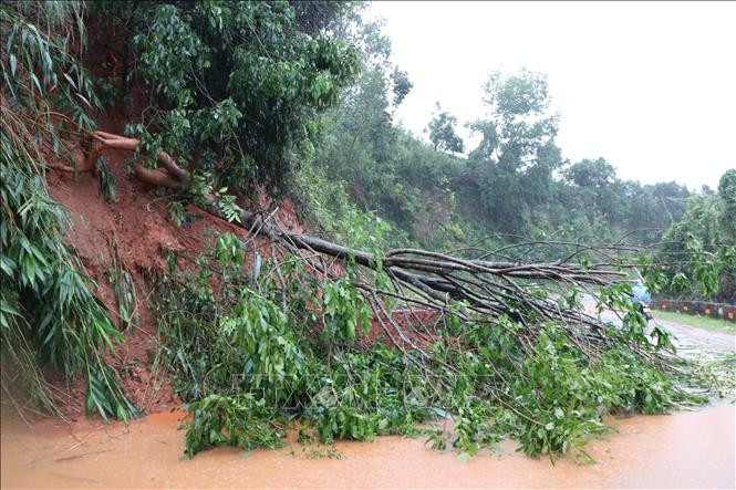 Bão số 9 gây nhiều thiệt hại. Ảnh: Cao Nguyên-TTXVN Đắk Lắk: Một người tử vong do ảnh hưởng bão số 9 ảnh 1
