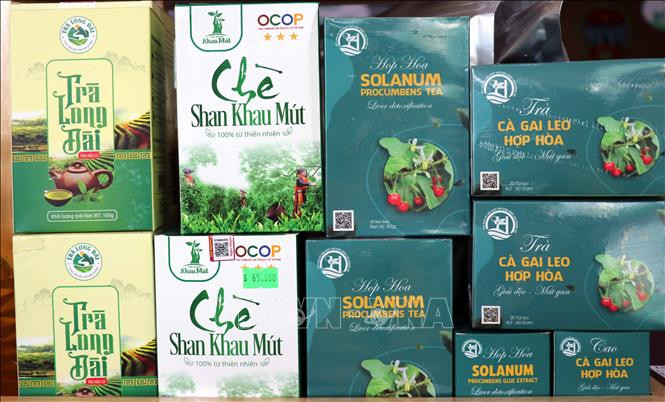 Các sản phẩm OCOP của tỉnh Tuyên Quang từng bước khẳng định được thương hiệu. Ảnh: Vũ Quang – TTXVN Tuyên Quang nâng cao giá trị cho sản phẩm OCOP ảnh 2