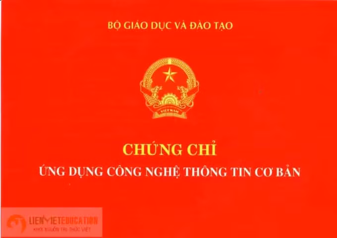 Họp báo Chính phủ thường kỳ tháng 11/2020: Quy định về ngoại ngữ, tin học phù hợp với từng vị trí việc làm ảnh 1