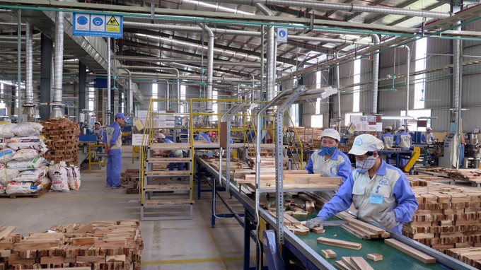 Công nhân làm việc tại dây chuyền chế biến gỗ công nghiệp thuộc Công ty cổ phần Woodsland Tuyên Quang. Ảnh: Vũ Quang - TTXVN Đưa Tuyên Quang trở thành tỉnh phát triển khá, toàn diện, bền vững: Hình thành vùng nguyên liệu rừng lớn (Bài 3) ảnh 2