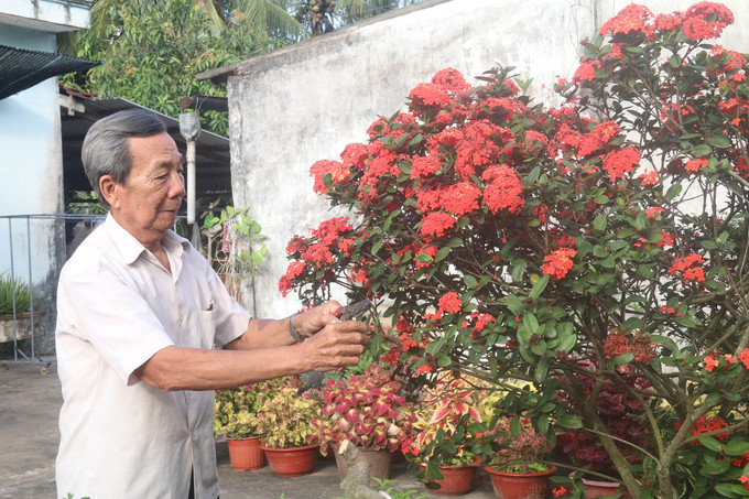 Ông Nguyễn Văn Đức với thú vui chăm sóc cây cảnh. Ảnh: Minh Trí - TTXVN Ông Nguyễn Văn Đức đưa khoa học công nghệ về ruộng đồng Ấp Bắc, giành những vụ mùa bội thu ảnh 2
