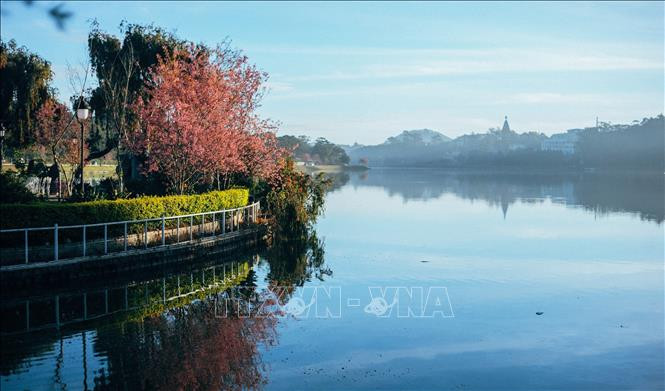 Hồ Xuân Hương – trái tim của Đà Lạt và cũng là thắng cảnh nổi tiếng, thu hút du khách trong và ngoài nước bởi vẻ đẹp dịu dàng, lãng mạng. Ảnh : Nguyễn Dũng-TTXVN Du lịch Đà Lạt mạnh mẽ phục hồi ảnh 1