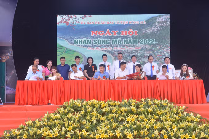 Quảng bá thương hiệu nhãn Sông Mã ảnh 2