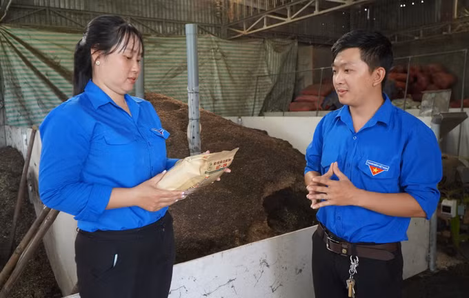 Lan tỏa phong trào thanh niên khởi nghiệp ở "đất sen hồng" Đồng Tháp ảnh 2