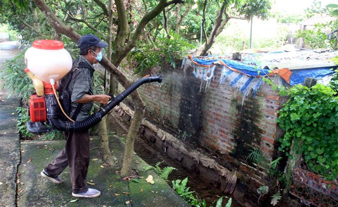 Tỉnh Thái Bình khẩn trương thực hiện các biện pháp nhằm khống chế dịch, bảo vệ an toàn cho đàn vật nuôi. Ảnh: Thế Duyệt – TTXVN Thái Bình ngăn chặn nguy cơ lan rộng dịch tả lợn châu Phi ảnh 4