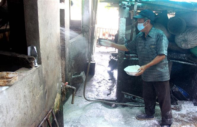 Tỉnh Thái Bình khẩn trương thực hiện các biện pháp nhằm khống chế dịch, bảo vệ an toàn cho đàn vật nuôi. Ảnh: Thế Duyệt – TTXVN Thái Bình ngăn chặn nguy cơ lan rộng dịch tả lợn châu Phi ảnh 2
