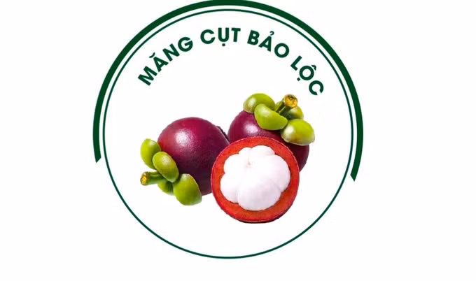 Măng cụt Bảo Lộc được cấp nhãn hiệu độc quyền ảnh 1