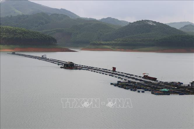 Nuôi trồng thủy sản là một trong hai đối tượng tiềm năng của tỉnh Yên Bái chi trả tiền dịch vụ môi trường rừng trong thời gian tới. Ảnh: Tiến Khánh - TTXVN Yên Bái: Chính sách chi trả dịch vụ môi trường rừng tạo nguồn sinh kế ổn định, lâu dài ảnh 3