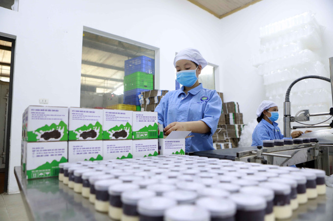 Đóng gói sản phẩm sữa tại HTX chăn nuôi bò sữa Tam Đảo (xã Bồ Lý, huyện Tam Đảo, tỉnh Vĩnh Phúc). Ảnh: Hoàng Hùng - TTXVN Phú Thọ phát triển các khu, cụm công nghiệp để tăng sức hút đầu tư ảnh 1