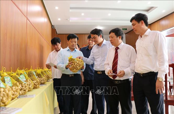Các đại biểu với sản phẩm tỏi An Thịnh. Ảnh: Thanh Thương - TTXVN Tỏi An Thịnh được cấp chứng nhận chỉ dẫn địa lý ảnh 1