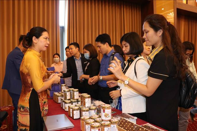 Các đơn vị kinh doanh du lịch giới thiệu các sản phẩm du lịch Quảng Ninh. Ảnh: Thanh Thương- TTXVN Bắc Ninh - Quảng Ninh hợp tác kích cầu du lịch ảnh 2