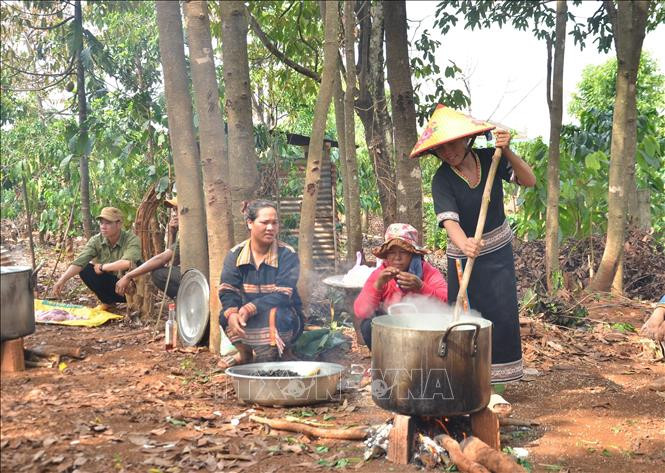 Phụ nữ trong làng O Pếch chuẩn bị các món ăn cho lễ cúng cầu mưa. Ảnh: Quang Thái- TTXVN Độc đáo lễ cầu mưa của người Jrai ảnh 3