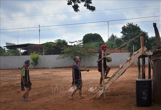 Hội đồng già làng bước lên nhà rông chuẩn bị cho lễ cúng cầu mưa. Ảnh: Quang Thái- TTXVN Độc đáo lễ cầu mưa của người Jrai ảnh 1