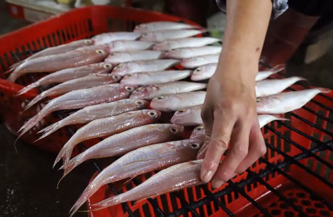 Giữ lửa nghề truyền thống nơi “miền chân sóng” ảnh 4