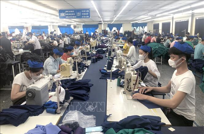 Ngân hàng Chính sách xã hội tỉnh Bình Định đã giải ngân 34 hồ sơ vay vốn của người sử dụng lao động, với tổng số tiền hơn 21 tỷ đồng để trả lương cho 5.640 người lao động. Ảnh: Nguyên Linh-TTXVN Hỗ trợ phục hồi và phát triển thị trường lao động ảnh 1