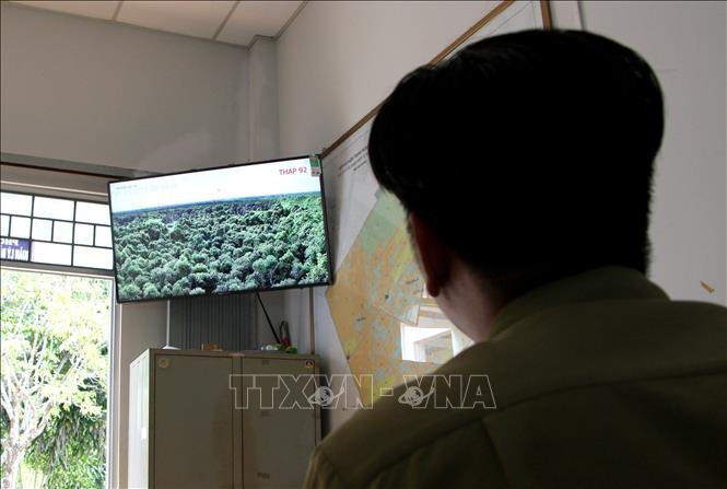 Cán bộ Khu bảo tồn thiên nhiên Lung Ngọc Hoàng theo dõi rừng thông qua hệ thống camera. Ảnh: Hồng Thái - TTXVN Hậu Giang nâng cảnh báo cháy rừng lên cấp nguy hiểm ảnh 1