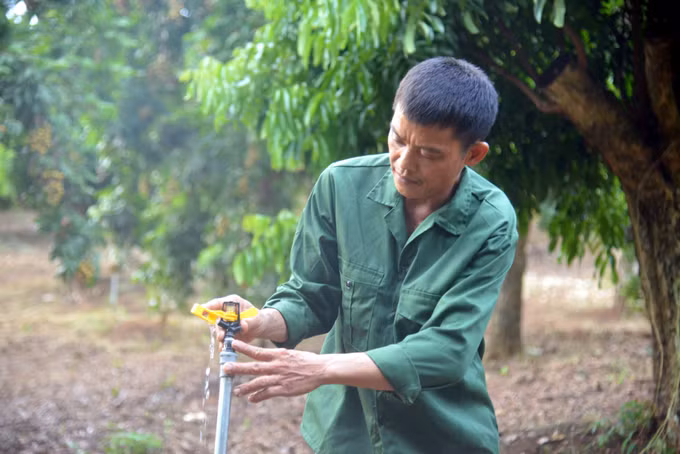 Xây dựng thương hiệu nhãn Sông Mã ảnh 3