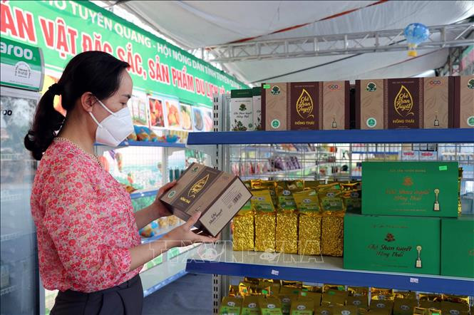 Các sản phẩm OCOP của tỉnh Tuyên Quang. Ảnh Vũ Quang - TTXVN Tuyên Quang nâng cao giá trị cho sản phẩm OCOP ảnh 1