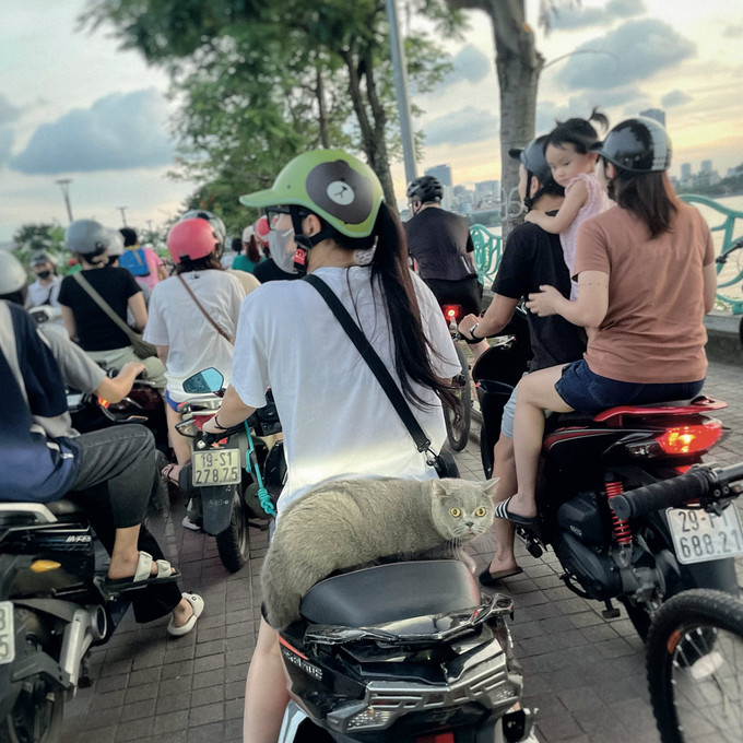 Chiều hè trên phố Quảng Bá, Hồ Tây, năm 2024. Ảnh: Lê Xuân Phong chieu-he-pho-quang-ba-ho-tay-2024le-xuan-phong.jpg