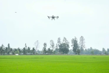 Hiệu quả tích cực từ chuyển đổi số trong hợp tác xã