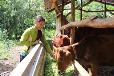 Hỗ trợ sinh kế giúp đồng bào thoát nghèo