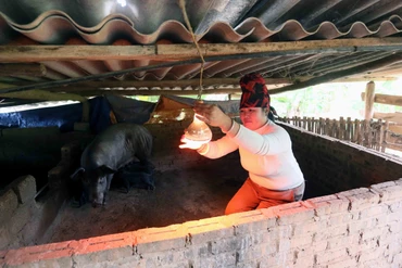 Sơn La phòng, chống đói, rét cho đàn vật nuôi