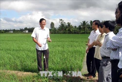 Sóc Trăng chuyển đổi cơ cấu cây trồng hướng phát huy thế mạnh địa phương 