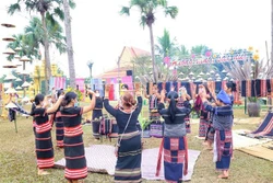 Nhiều hoạt động văn hóa, nghệ thuật trong Ngày hội “Sắc Xuân trên mọi miền Tổ quốc”