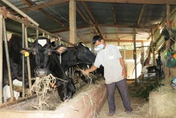 Đơn Dương (Lâm Đồng) hướng đến huyện kiểu mẫu về nông nghiệp ứng dụng công nghệ cao