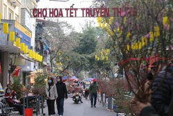 Hà Nội sẽ tổ chức 78 điểm chợ hoa xuân phục vụ Tết