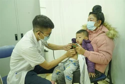 Khám sàng lọc bệnh tim miễn phí cho trẻ em Điện Biên
