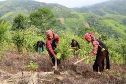 Đòn bẩy phát triển trung du, miền núi Bắc Bộ (Bài 3)