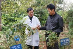 Đắk Nông: “Thầy tại chỗ, thuốc tại vườn”
