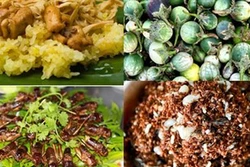 12 món ngon nghe lạ tai, ăn lạ miệng ở Kon Tum