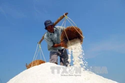 Mua tạm trữ muối để diêm dân bớt gánh nặng