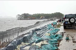 Phòng chống sạt lở khu vực Vườn Quốc gia Mũi Cà Mau