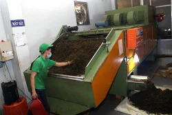 Ngành công nghiệp dược liệu Việt Nam và chiến lược phát triển