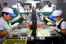 Thỏi nam châm thu hút FDI, liên kết vùng kinh tế trọng điểm phía Nam - Bài 3