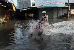 Thời tiết ngày 15/11: Nam Bộ triều cường dâng cao, từ Quảng Bình đến Quảng Ngãi có mưa to