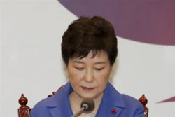 Tổng thống Park Geun-Hye xin lỗi toàn thể nhân dân Hàn Quốc