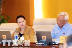 Chính phủ chưa có chủ trương cải cách tiếng Việt