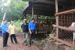 Mô hình nuôi dê sạch giúp thanh niên ấp Thanh Hải khởi nghiệp hiệu quả