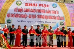 Khai mạc lễ hội cam Cao Phong lần thứ 2
