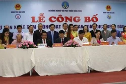 Lần đầu tiên Việt Nam có cơ sở sản xuất tôm giống đạt chuẩn của Tổ chức Thú y Thế giới