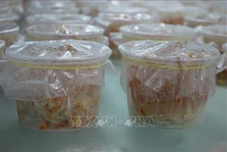 Thanh Hóa sản xuất giống và nuôi thương phẩm nấm đông trùng hạ thảo