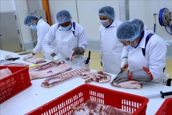Tập trung phát triển chăn nuôi theo chuỗi liên kết