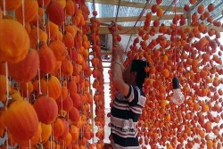 Lâm Đồng tập trung nguồn lực phát triển vùng đồng bào dân tộc thiểu số