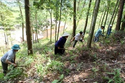 Lai Châu chủ động phòng, chống cháy rừng trong mùa hanh khô